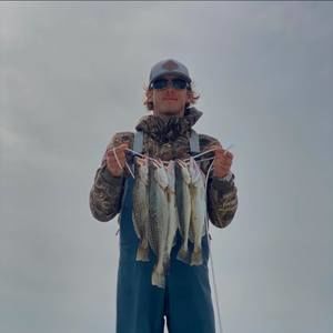 Meet your Posher, Cameron